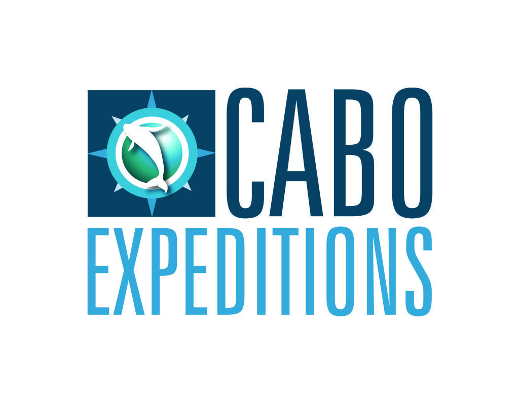 cabo expeditions tours
