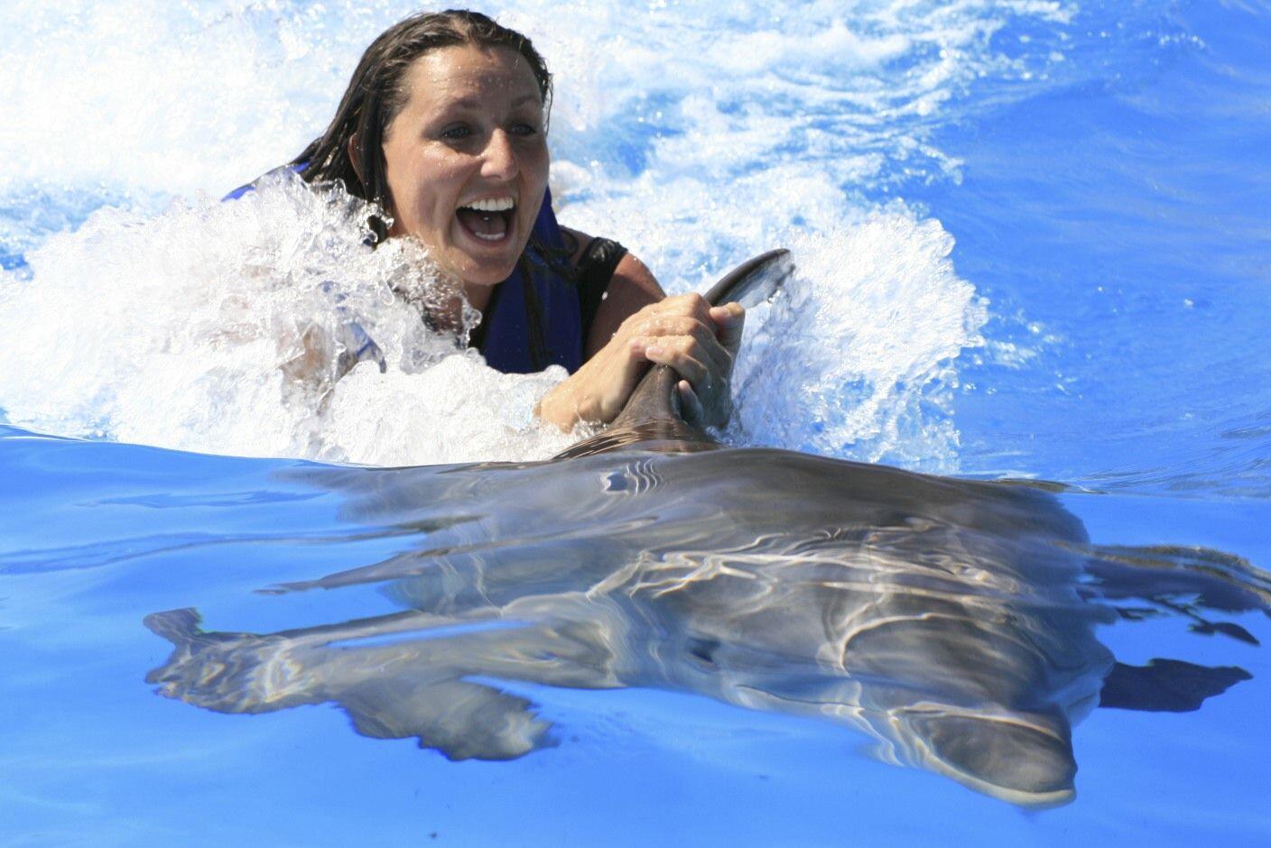 Dolphin Swim in Los Cabos -Cabo Discount Tours