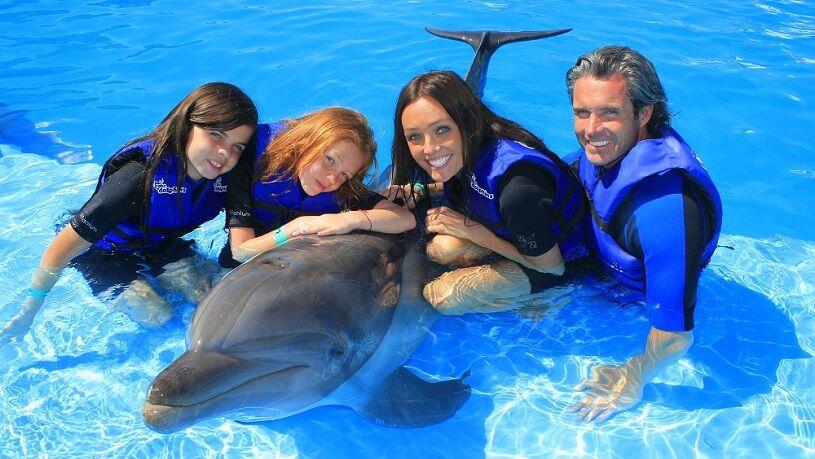 private-dolphin-experience - Cabo Discount Tours